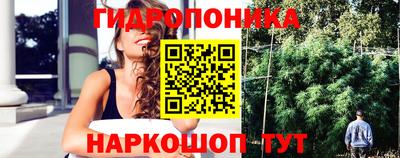 крисы Краснознаменск