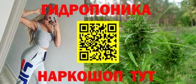 крисы Краснознаменск