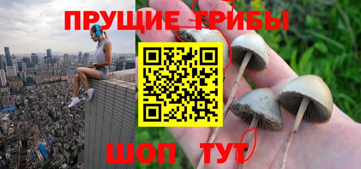 Керчь  Галлюциногенные грибы Psilocybe  Вход с VPN 